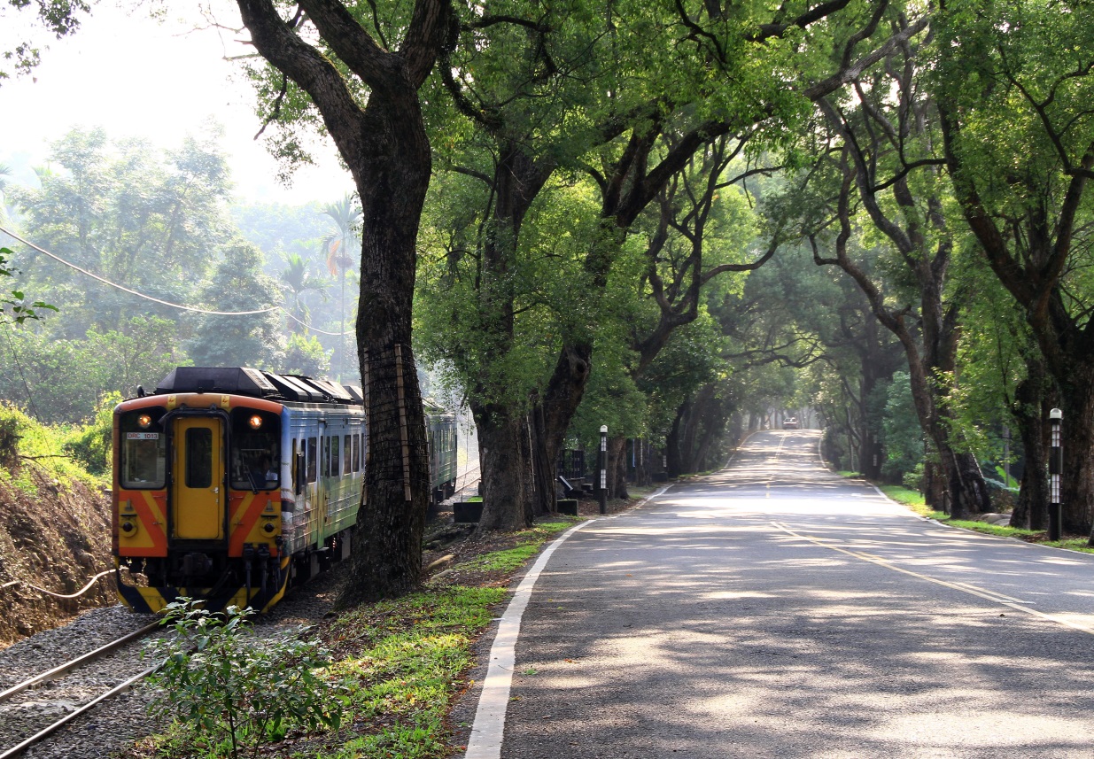 南投縣集集綠色隧道自行車道/南投縣政府提供