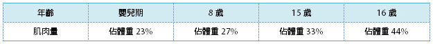 肌肉系統